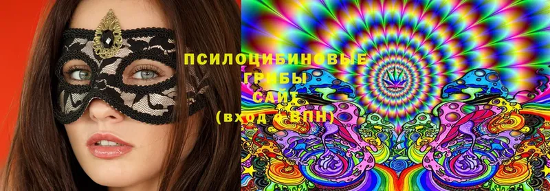 Псилоцибиновые грибы Magic Shrooms  Гороховец 